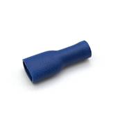 Shuted off terminal blue femal