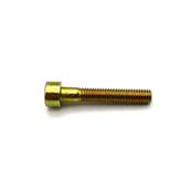 Allen screw M6 x 35 mm