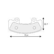 Magnesium plate for caliper