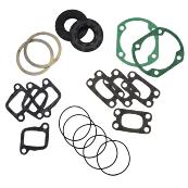 Complete kit of gaskets 447