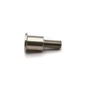 Disc attachment MI screw