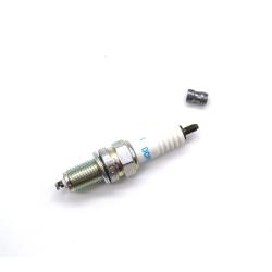 Spark plug NGKDCPR7E 912S 80HP
