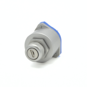 Dual ignition key switch