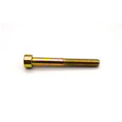 Allen screw M6 x 50 mm
